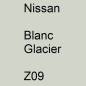 Preview: Nissan, Blanc Glacier, Z09.